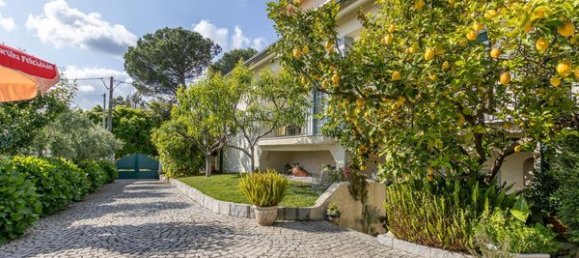 4 bedrooms House in Viseu, Portugal No. 183671 33