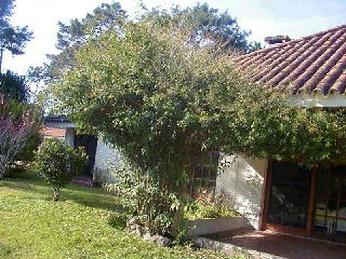 3 Schlafzimmer Haus in Maldonado, Uruguay, Nr. 7441