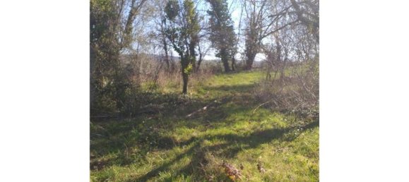 3 bedrooms House in Sessa Aurunca, Italy No. 371901 4