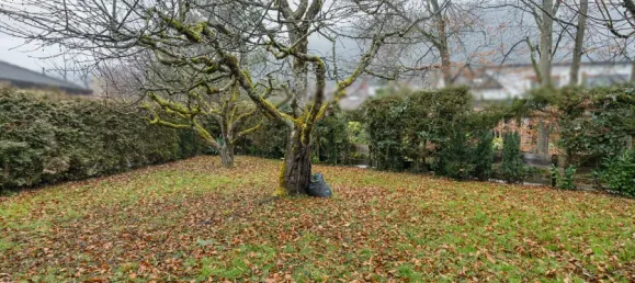 6غرفة منزل في Baden-Wurttemberg, Germany رقم 79843 19