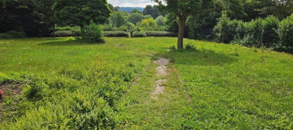 استوديو في Trier, Germany رقم 235269 7