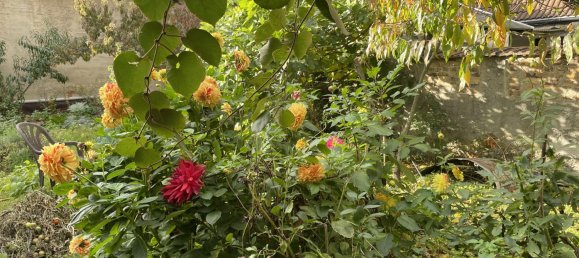 6غرفة منزل في Anhalt-Bitterfeld, Germany رقم 346386 5