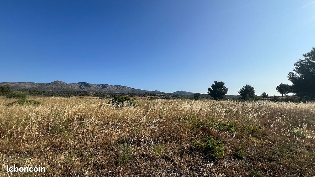 625m² Land in Cases-de-Pene, France No. 93522