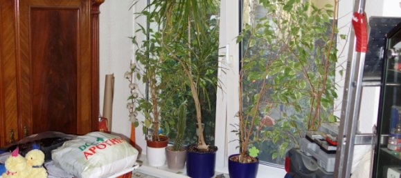 1 bedroom Apartment in Wedding, Germany No. 72134 7