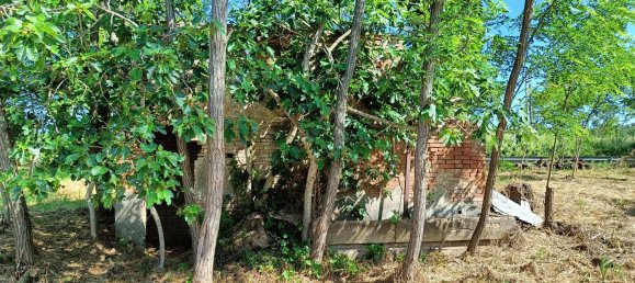 10 rooms House in Roccastrada, Italy No. 255034 7