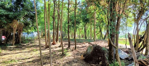 10 rooms House in Roccastrada, Italy No. 255034 6