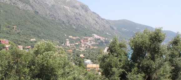 20000m² Hotel in Corfu, Greece No. 7812 5