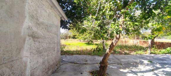 3 Schlafzimmer Haus in Aveiro, Portugal, Nr. 312604 41