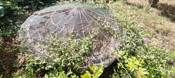 3 Schlafzimmer Haus in Aveiro, Portugal, Nr. 312604 46