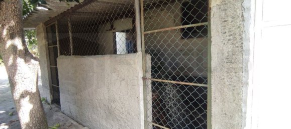 3 Schlafzimmer Haus in Aveiro, Portugal, Nr. 312604 43