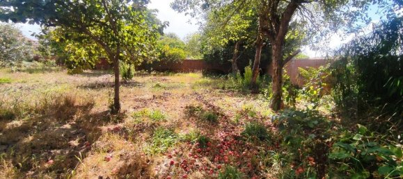 3 Schlafzimmer Haus in Aveiro, Portugal, Nr. 312604 48