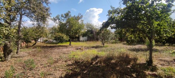 3 Schlafzimmer Haus in Aveiro, Portugal, Nr. 312604 47