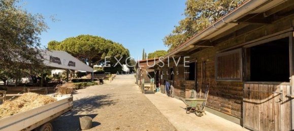 7 bedrooms Villa in Lagoa, Portugal No. 7522 12