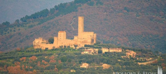 2 bedrooms Apartment in Castiglion Fiorentino, Italy No. 53641 14