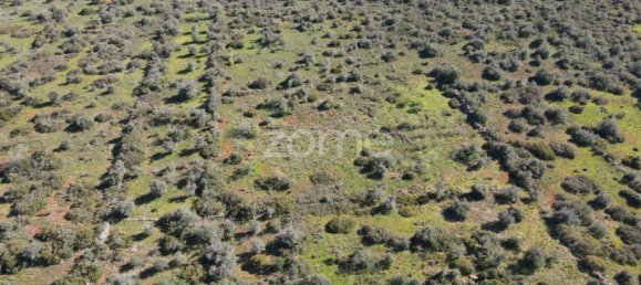  قطعة أرض في Sao Bartolomeu de Messines, Portugal رقم 69491 9