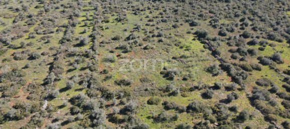  قطعة أرض في Sao Bartolomeu de Messines, Portugal رقم 69491 5