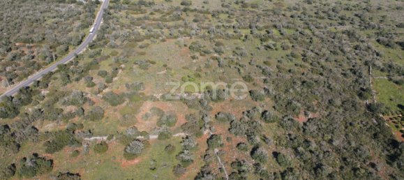 قطعة أرض في Sao Bartolomeu de Messines, Portugal رقم 69491 17