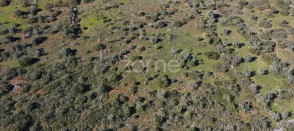  قطعة أرض في Sao Bartolomeu de Messines, Portugal رقم 69491 4