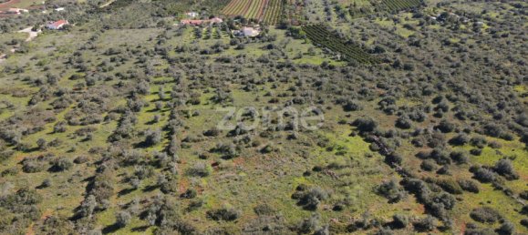  قطعة أرض في Sao Bartolomeu de Messines, Portugal رقم 69491 6