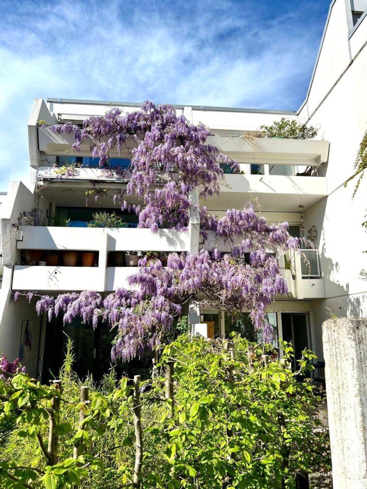 4غرفة تاون هاوس في Munich, Germany رقم 371062