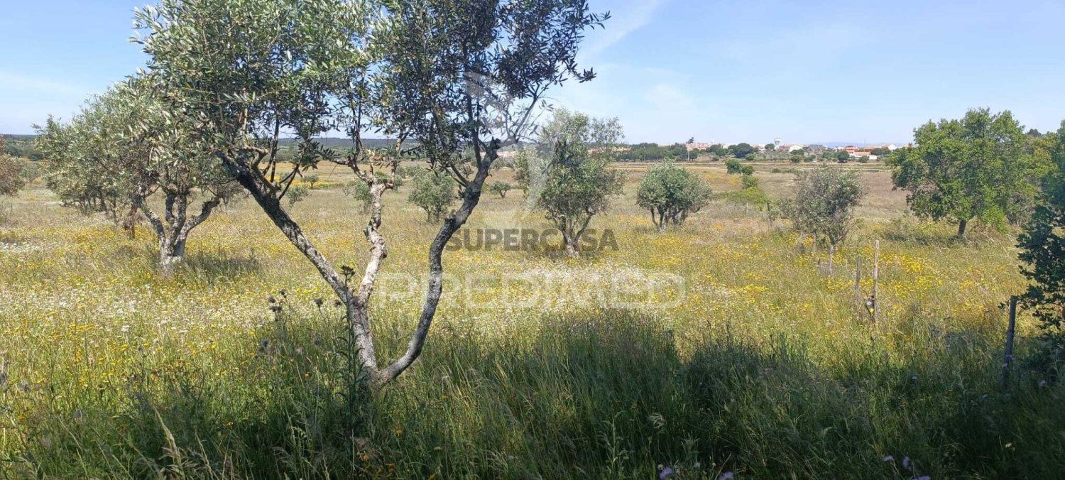 Земельный участок в Низа, Португалия № 287500