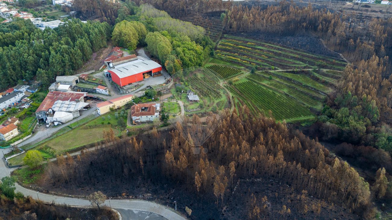 3 chambres Maison à Gondomar, Portugal No. 22911