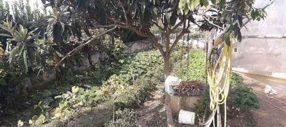 15 غرف نوم فيلا في Albanella, Italy رقم 360008 18