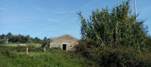 قطعة أرض في Peraboa, Portugal 130000متر مربع رقم 140241 5