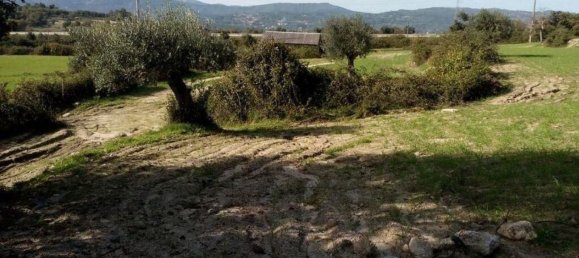 قطعة أرض في Peraboa, Portugal 130000متر مربع رقم 140241 7