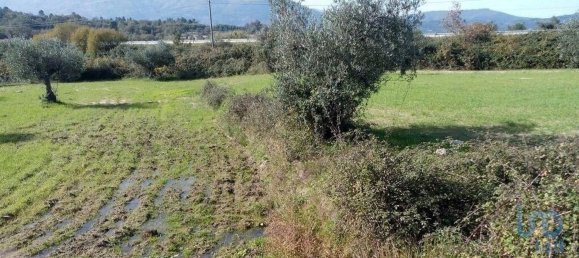 قطعة أرض في Peraboa, Portugal 130000متر مربع رقم 140241 3