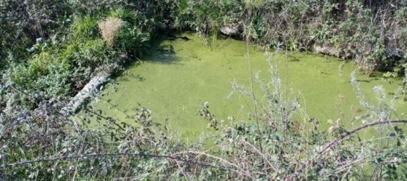 قطعة أرض في Peraboa, Portugal 130000متر مربع رقم 140241 15