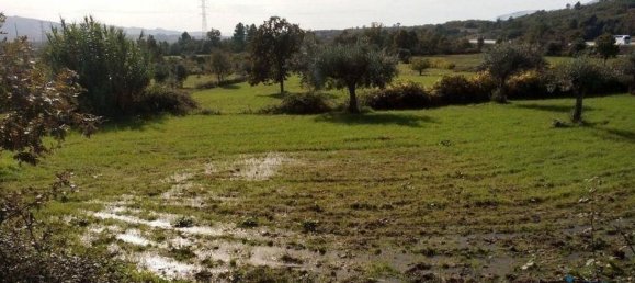 قطعة أرض في Peraboa, Portugal 130000متر مربع رقم 140241 4