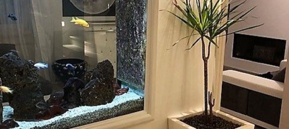 5 bedrooms Villa in Massa, Italy No. 316750 16