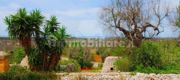 Casa T3 em Salve, Italy N.º 331769 33