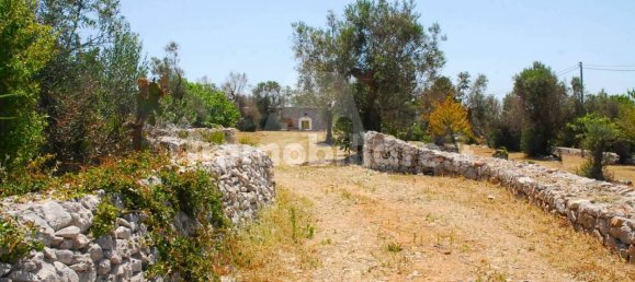 Casa T3 em Salve, Italy N.º 331769 32