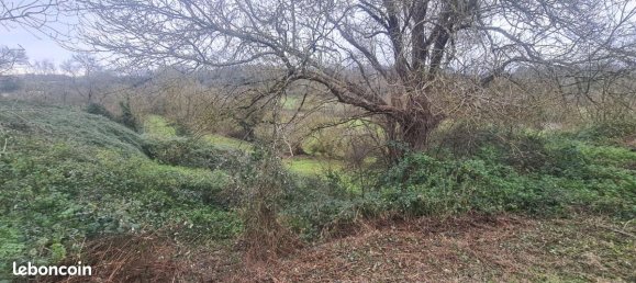 5 rooms House in Gorges, France No. 99855 8