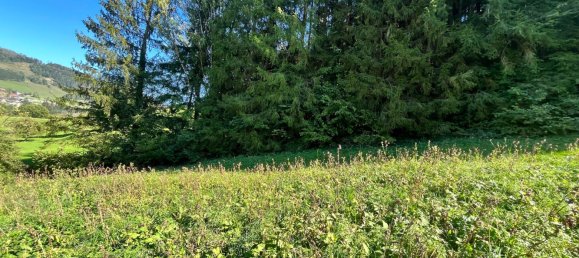  قطعة أرض في Grossraming, Austria 47207متر مربع رقم 229924 2