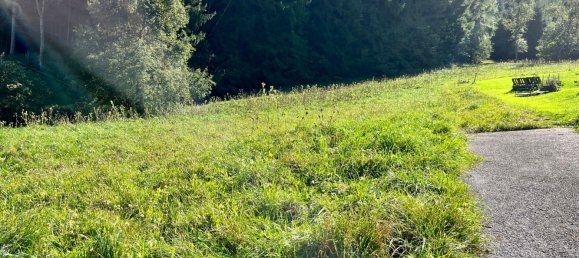  قطعة أرض في Grossraming, Austria 47207متر مربع رقم 229924 3