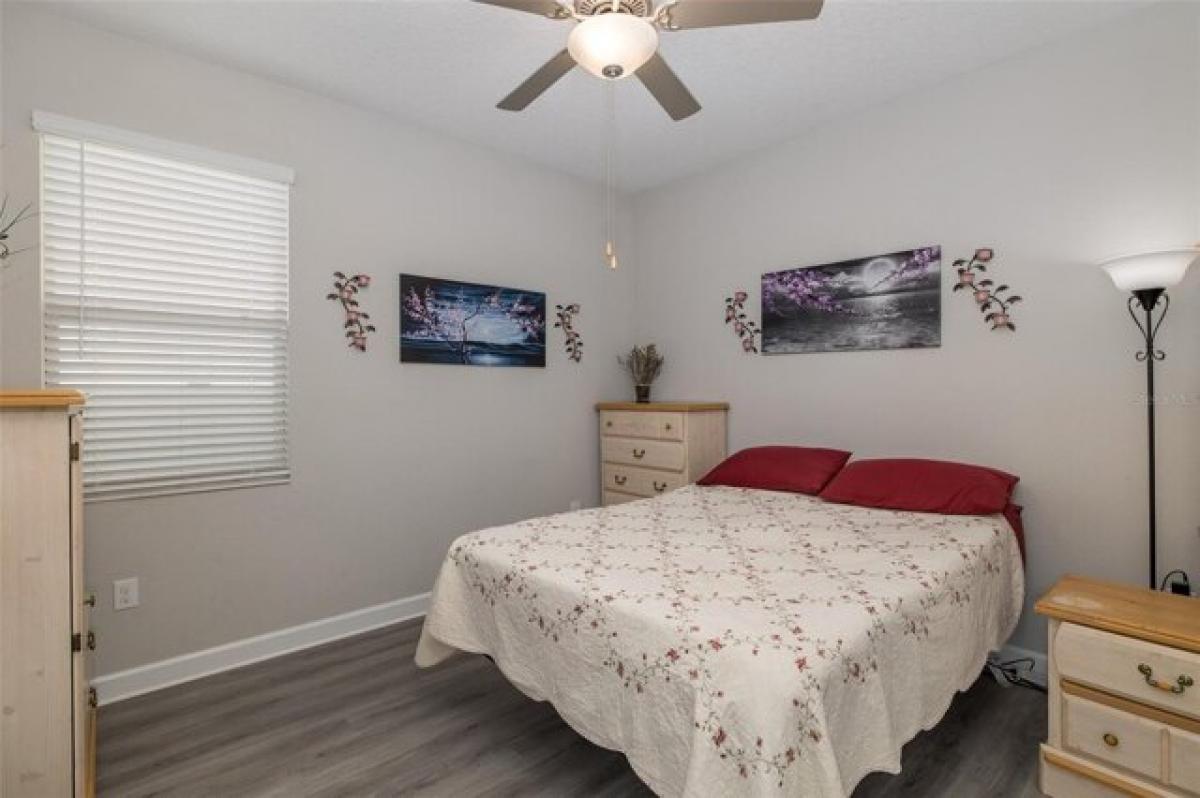 4 bedrooms House in New Port Richey, USA No. 422197