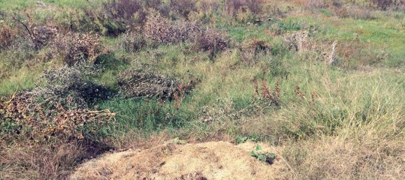 6822m² Hotel in Chalkidiki, Greece No. 7549 2