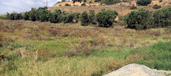 6822m² Hotel in Chalkidiki, Greece No. 7549 4