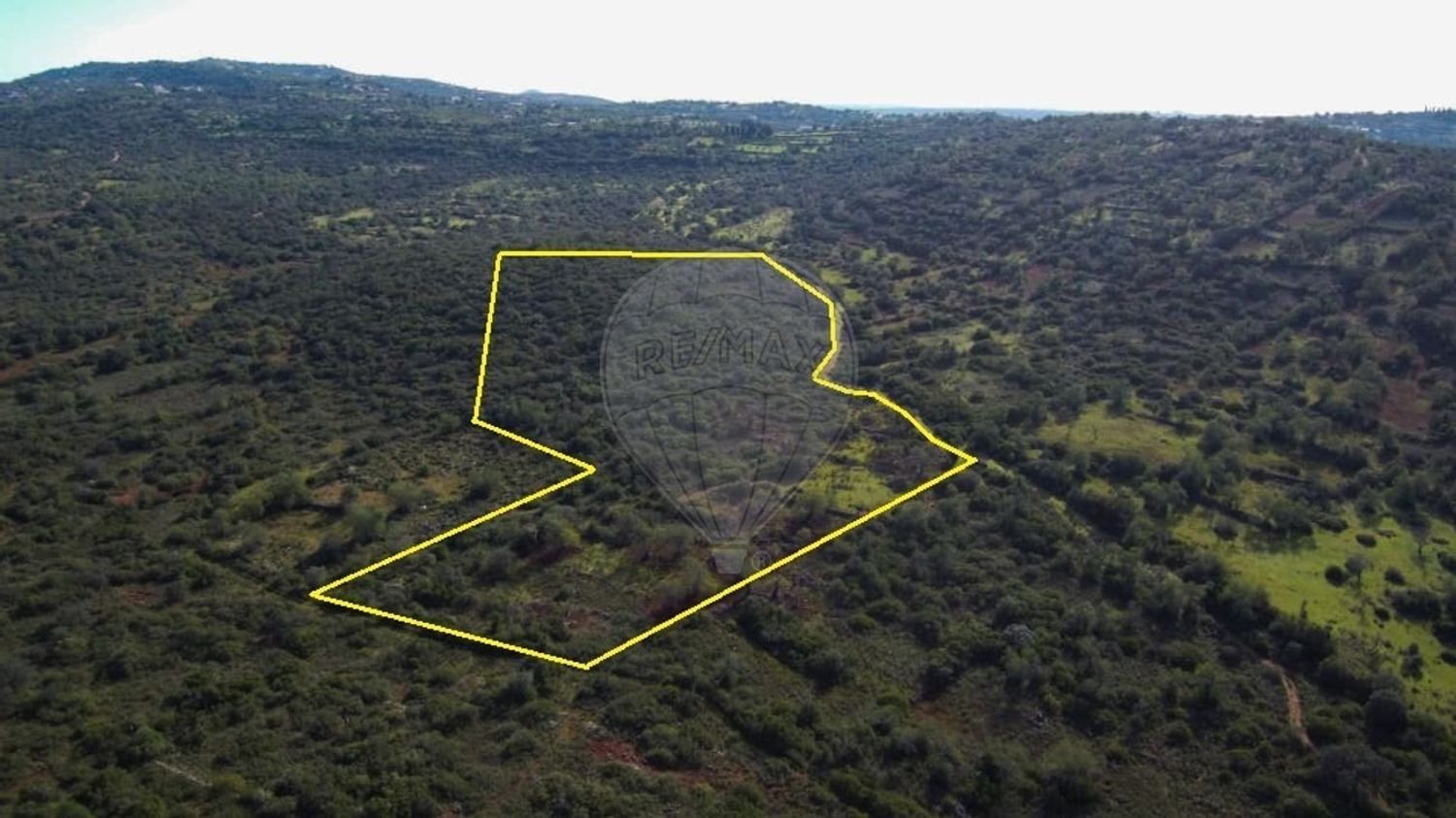 46500m² Land in Loule, Portugal No. 82831