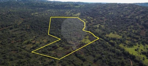 46500m² Land in Loule, Portugal No. 82831 3