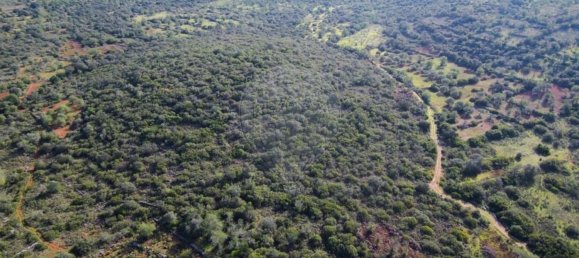 46500m² Land in Loule, Portugal No. 82831 4