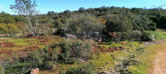 46500m² Land in Loule, Portugal No. 82831 7