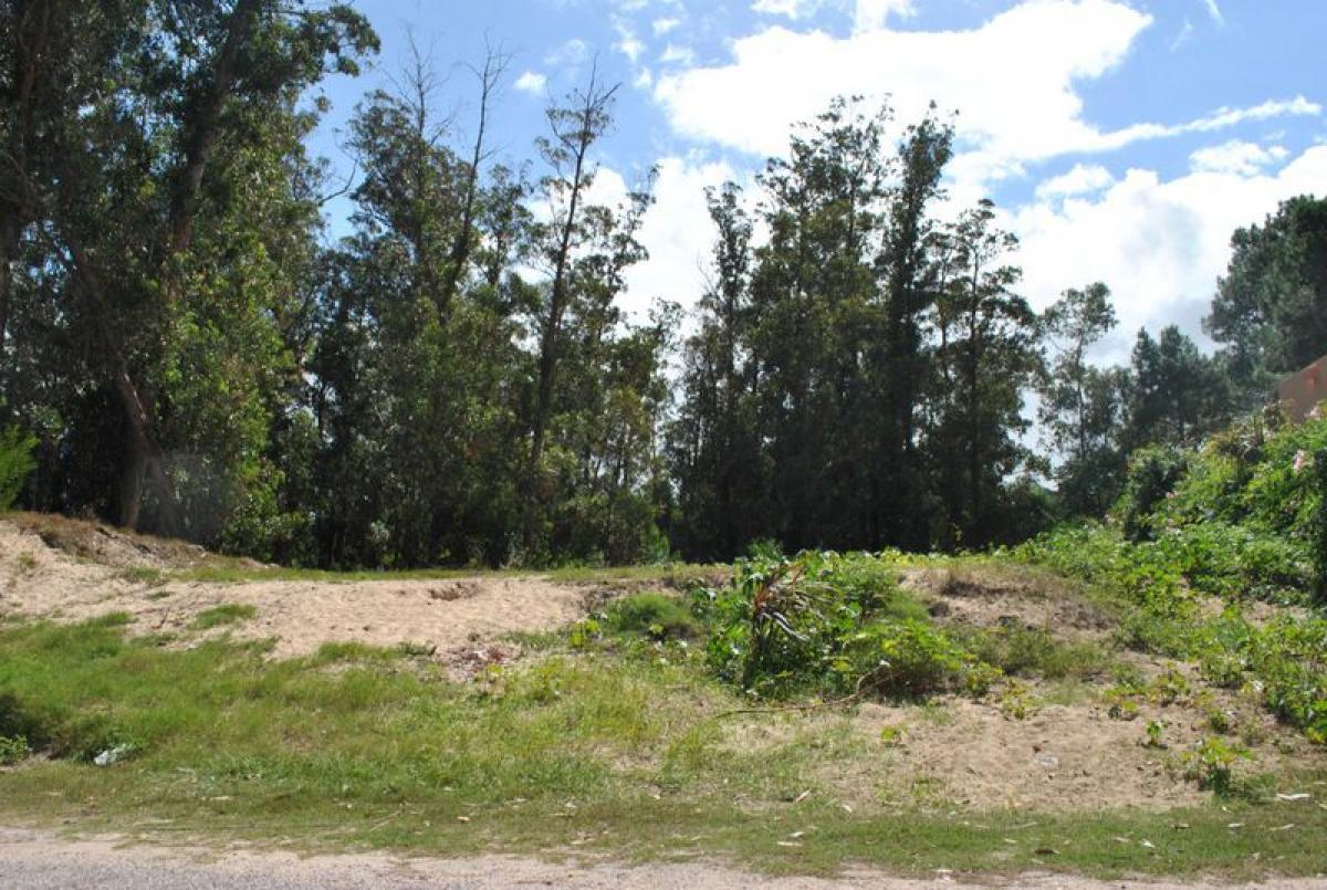 Terrain à Maldonado, Uruguay No. 15341