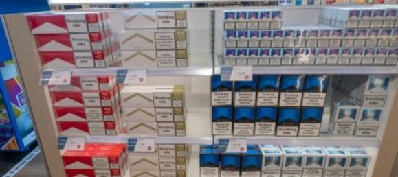 2-Zimmer Gewerbliche Immobilie in Piove di Sacco, Italy, Nr. 266090 8