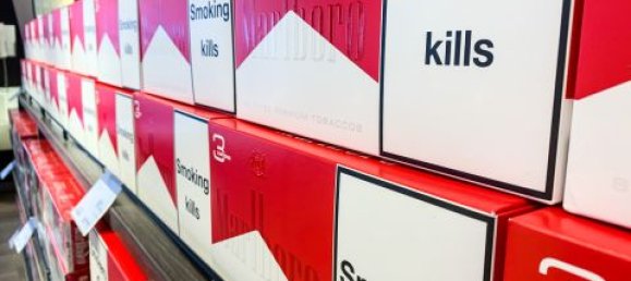 2-Zimmer Gewerbliche Immobilie in Piove di Sacco, Italy, Nr. 266090 9