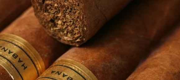 2-Zimmer Gewerbliche Immobilie in Piove di Sacco, Italy, Nr. 266090 3