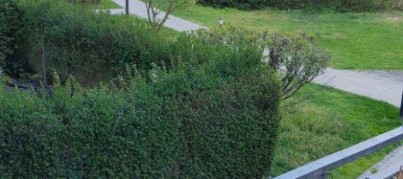 1 bedroom Apartment in Lend, Austria No. 194236 2